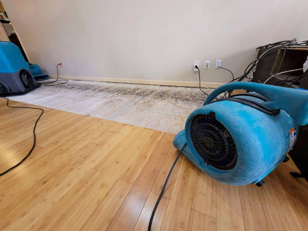 Professional Water Damage Repair technician working in Wapato, WA